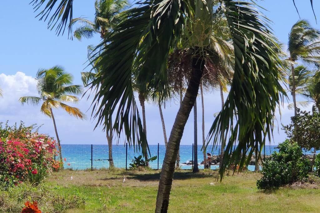 Parfum Des Iles - Vue Mer, Plage A 30M Et Piscine En Option Le Gosier (Grande-Terre) Exterior foto