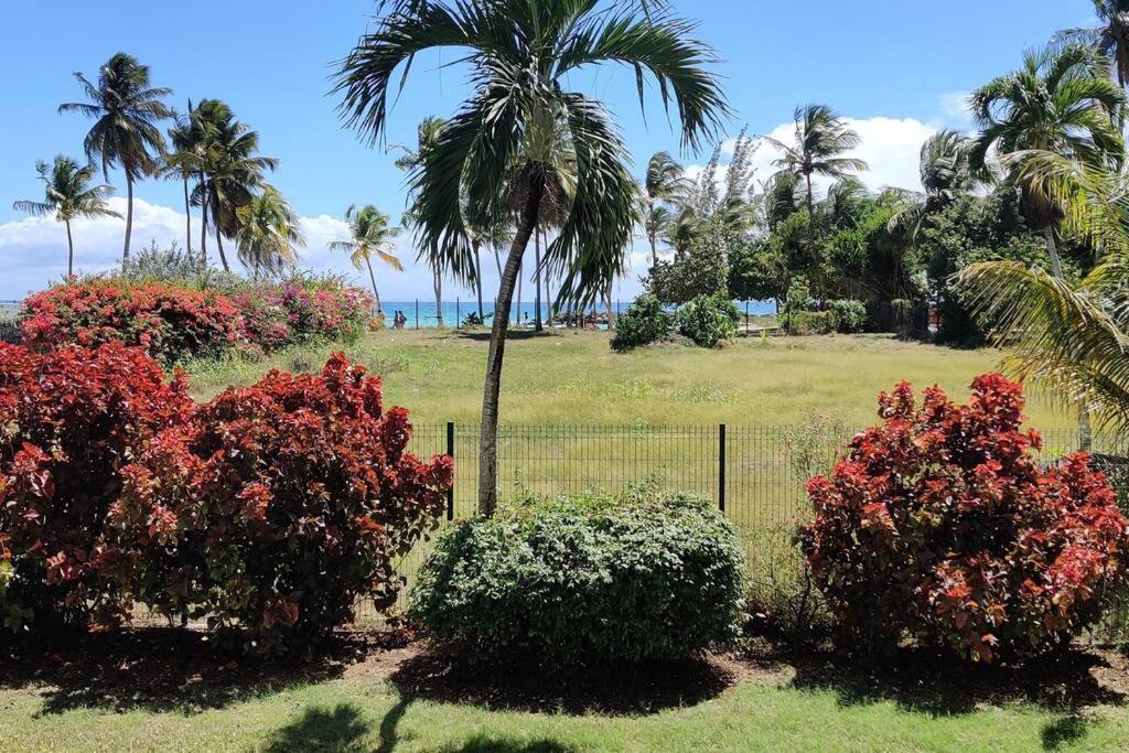 Parfum Des Iles - Vue Mer, Plage A 30M Et Piscine En Option Le Gosier (Grande-Terre) Exterior foto