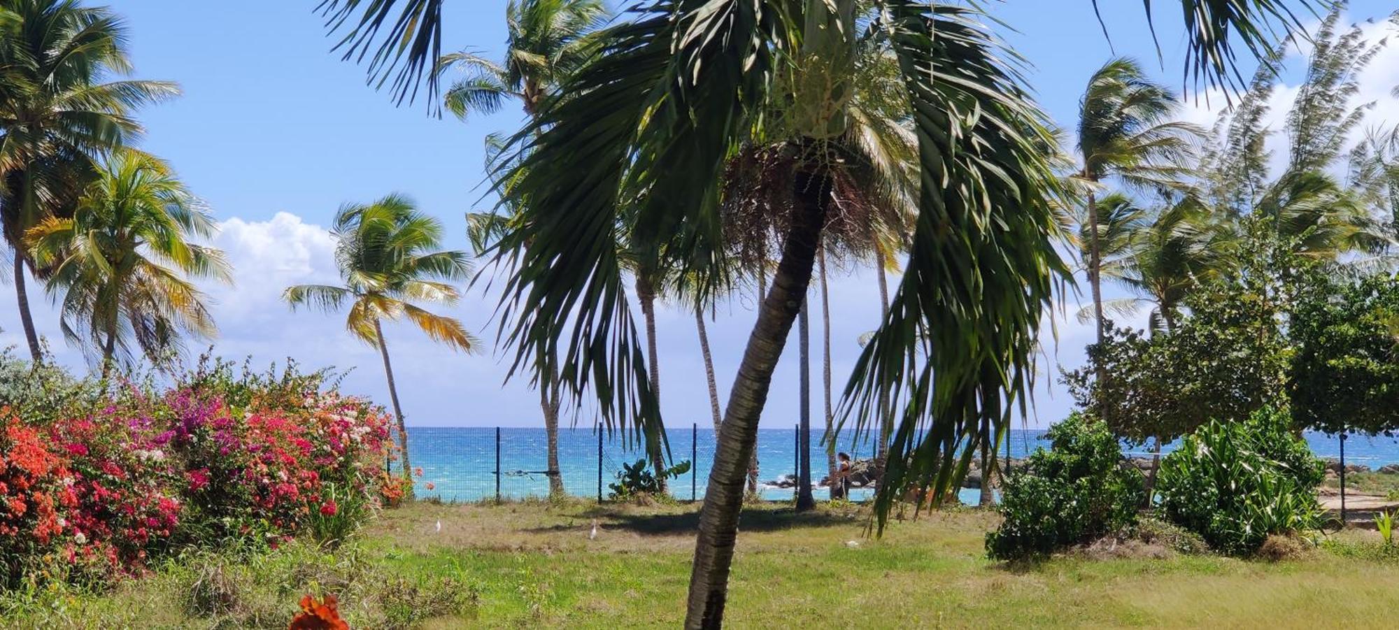 Parfum Des Iles - Vue Mer, Plage A 30M Et Piscine En Option Le Gosier (Grande-Terre) Exterior foto
