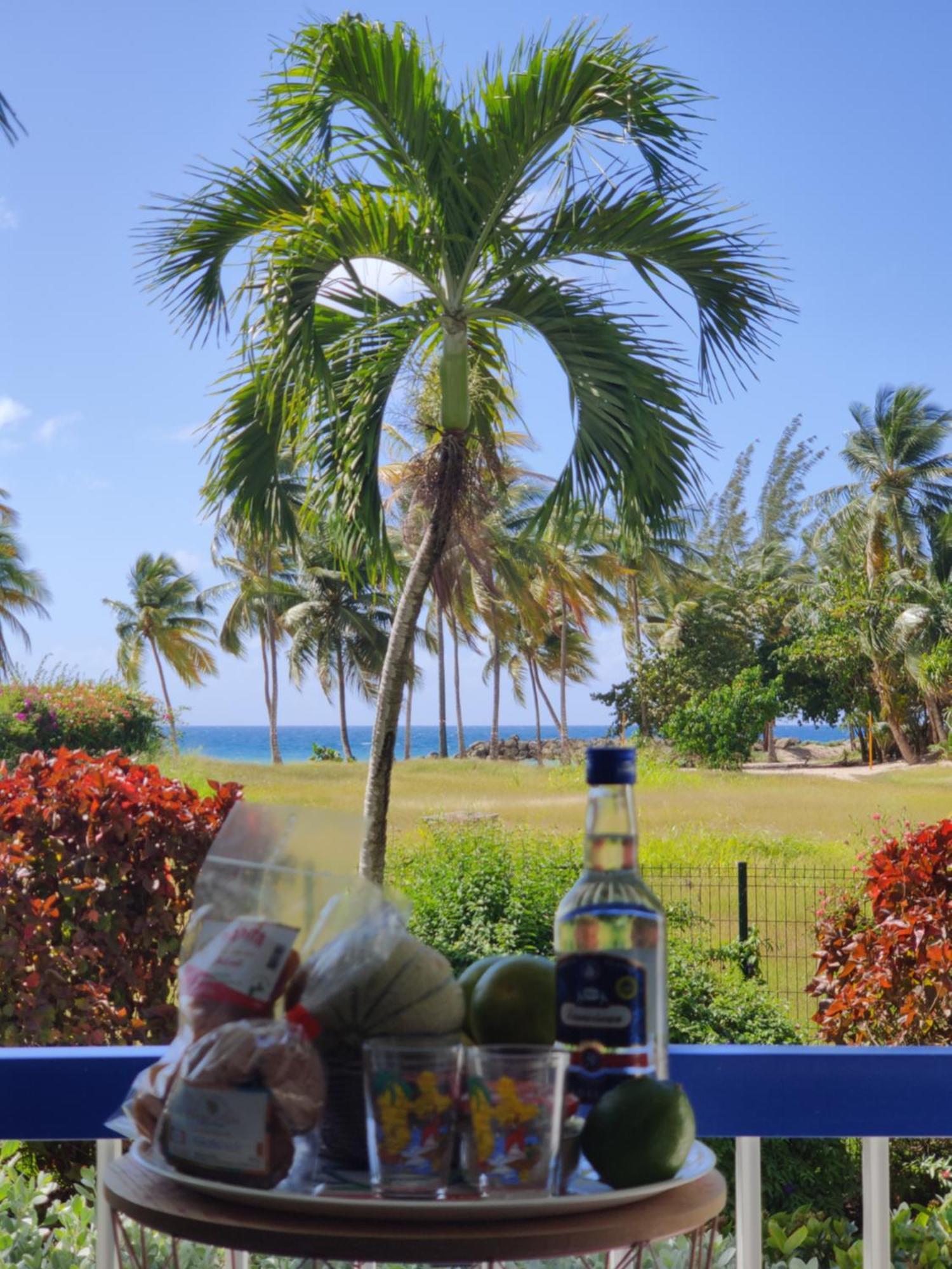 Parfum Des Iles - Vue Mer, Plage A 30M Et Piscine En Option Le Gosier (Grande-Terre) Exterior foto