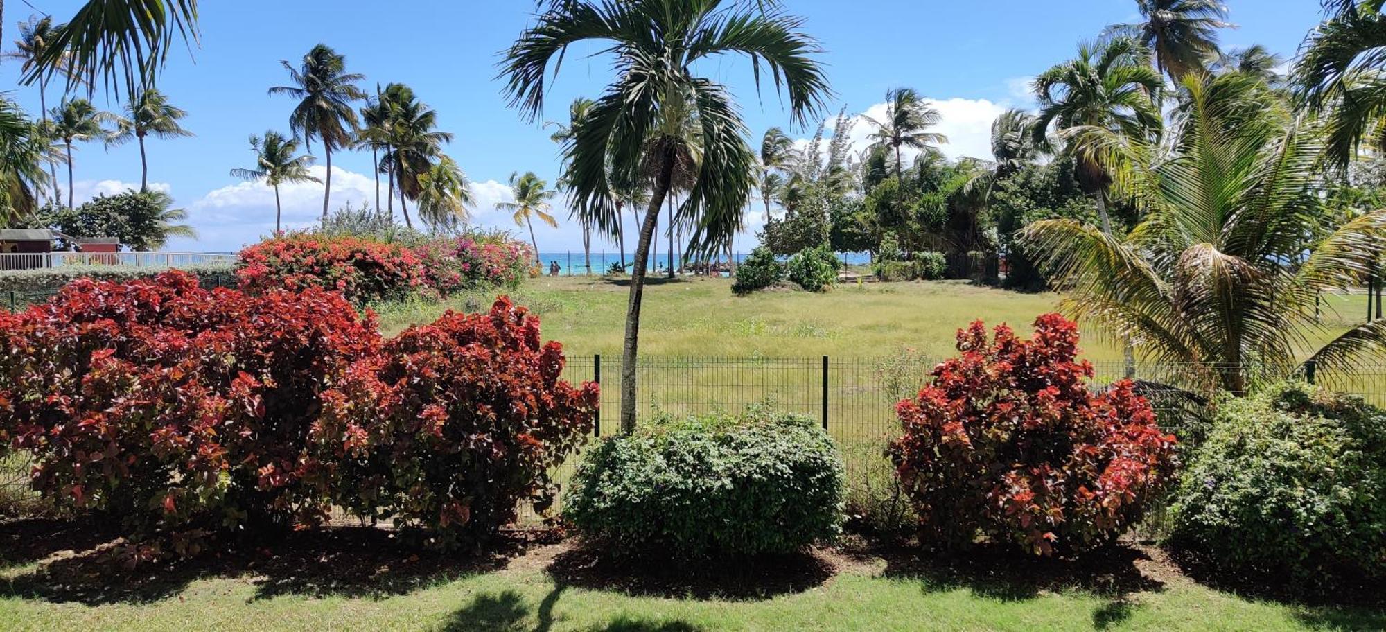 Parfum Des Iles - Vue Mer, Plage A 30M Et Piscine En Option Le Gosier (Grande-Terre) Exterior foto
